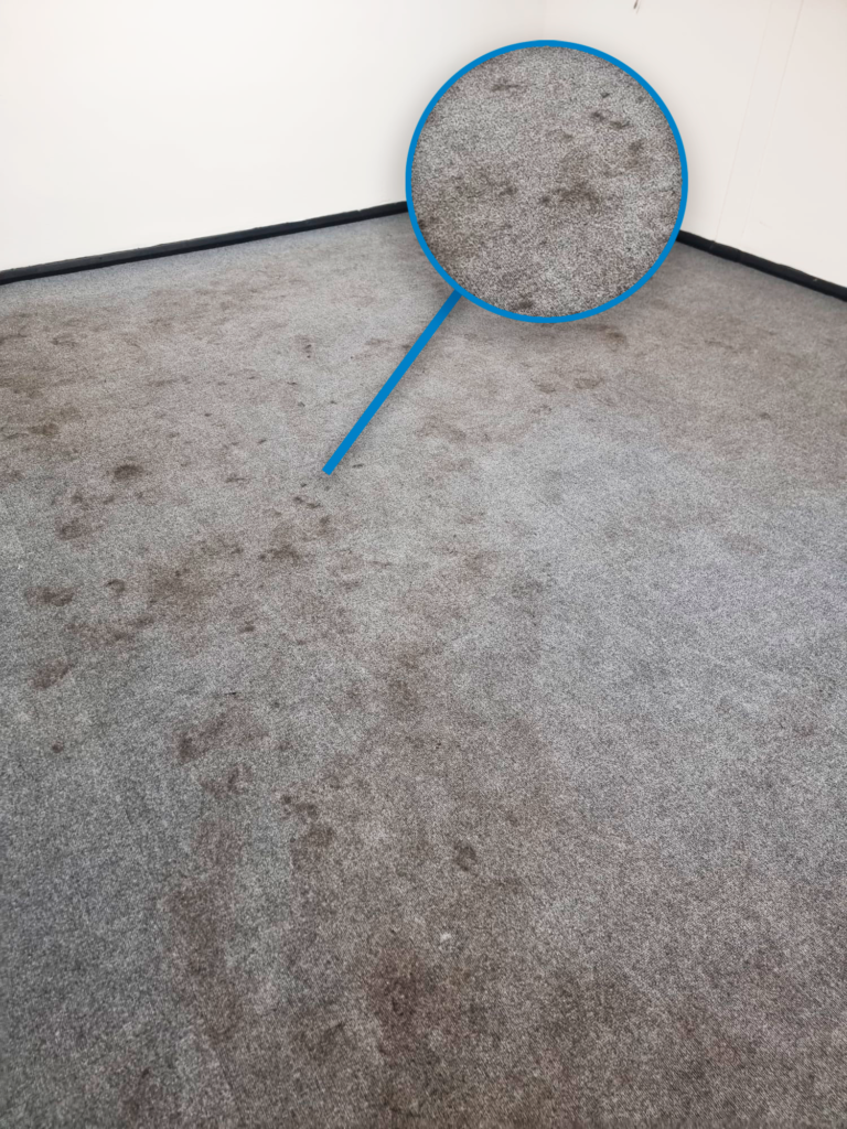 Carpet-Cleaning-Clapham-Before