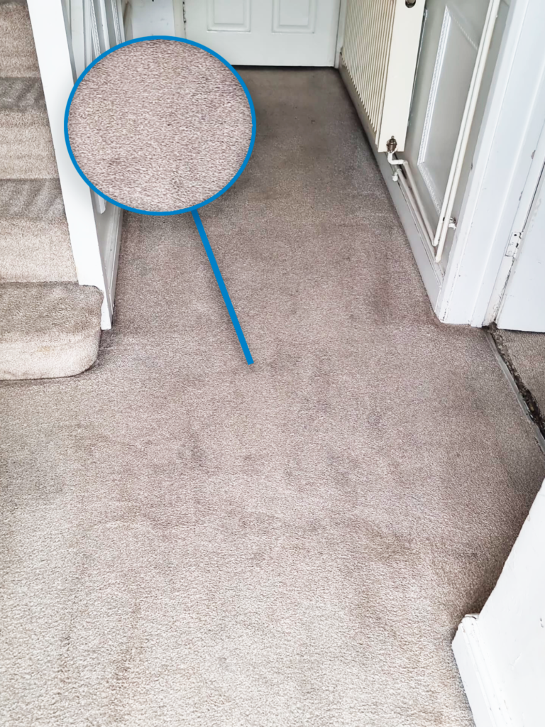 Carpet-Cleaning-Hammersmith-After