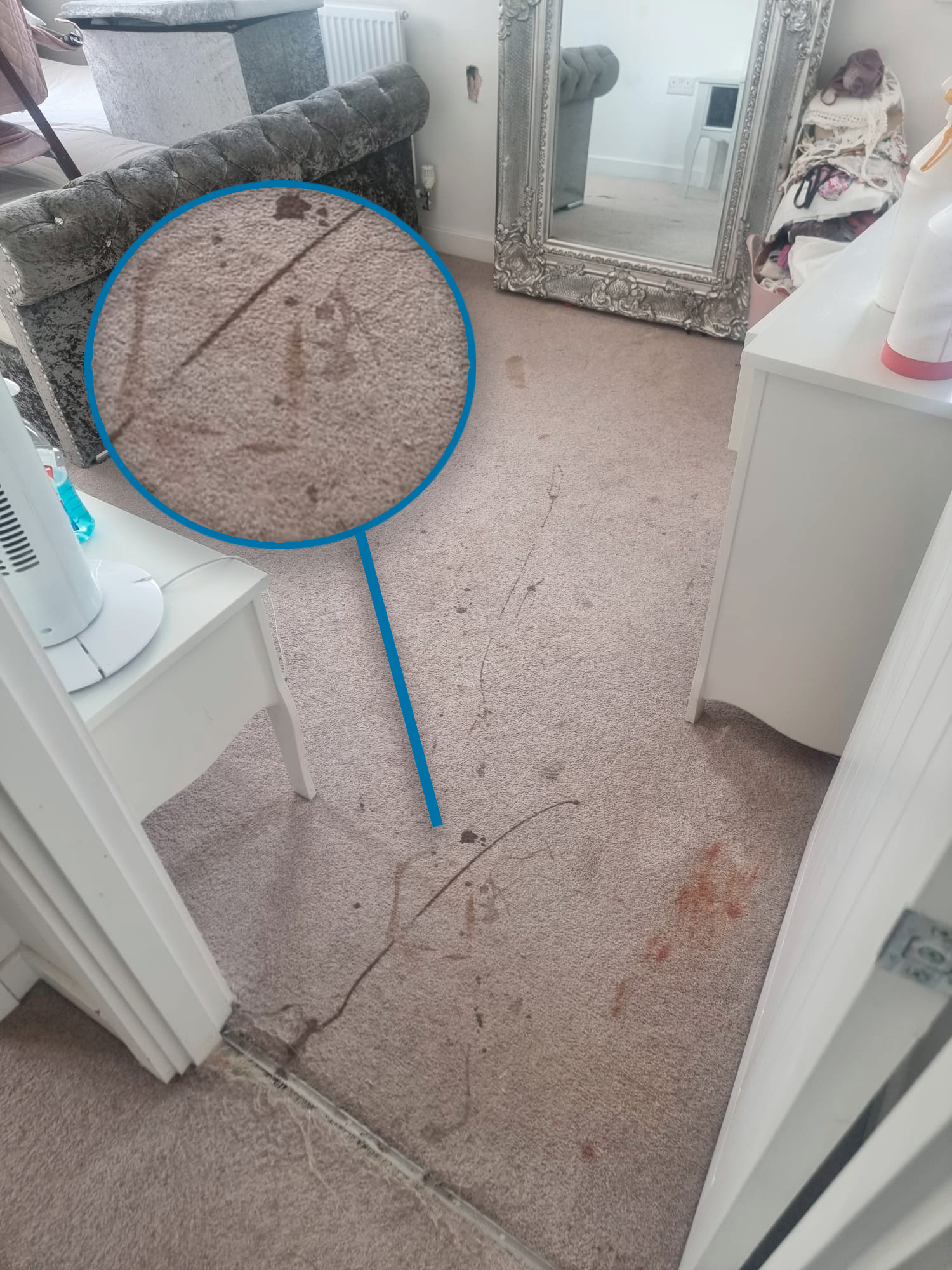 Carpet-Cleaning-Islington-Before