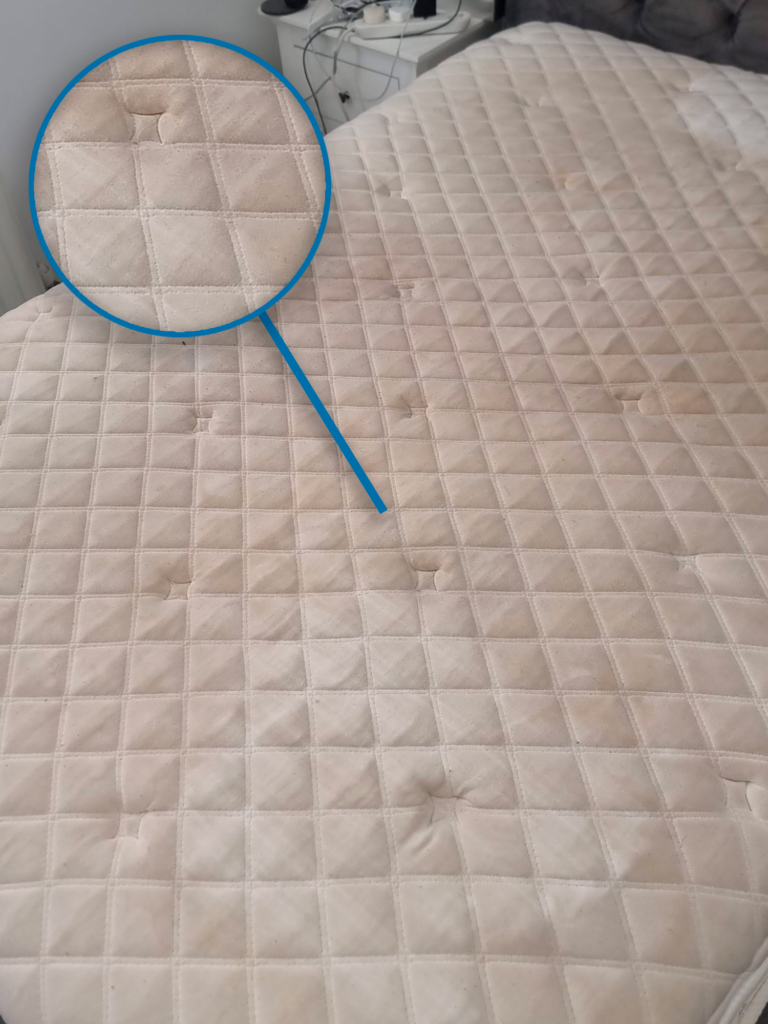 Mattress-Cleaning-Chelsea-Before